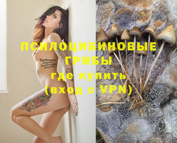 эйфоретик Абдулино