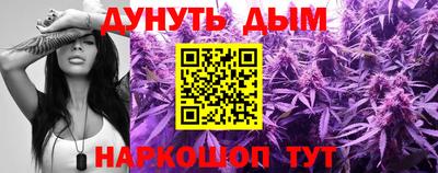 Альфа ПВП Можга