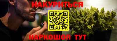 Альфа ПВП Можга