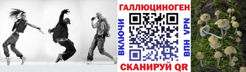 Псилоцибиновые грибы MAGIC MUSHROOMS мега ссылки Ялуторовск