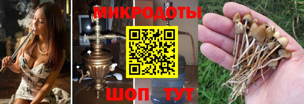 Псилоцибиновые грибы мухоморы  Псилоцибиновые грибы GOLDEN TEACHER  Ялуторовск  Вход с VPN 