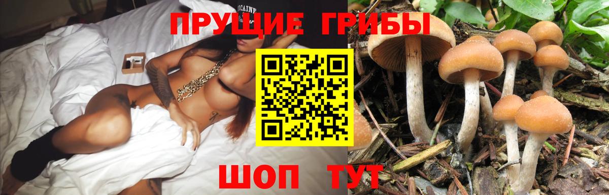 Галлюциногенные грибы мухоморы Ялуторовск
