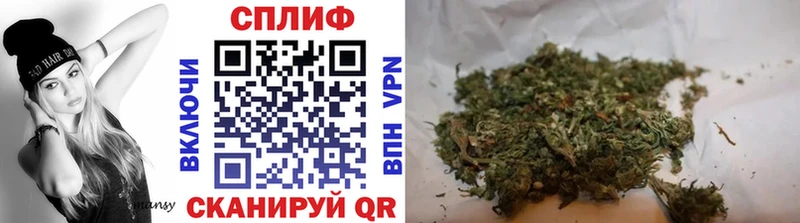 наркотики  Ялуторовск  Марихуана индика 